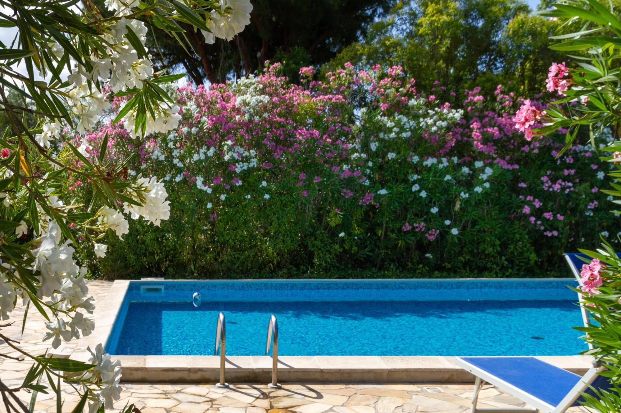 Trilo Dalia Villa Marina di Grosseto Exterior photo